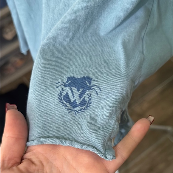 Wildfox Light Blue V-Neck Short Sleeve Tee - Picture 3 of 7